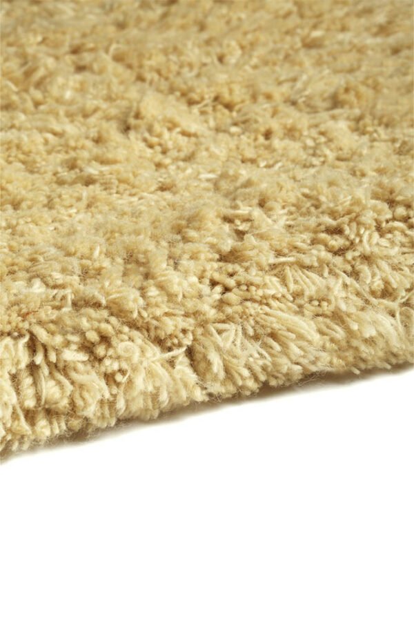 Shaggy - Shetland-01