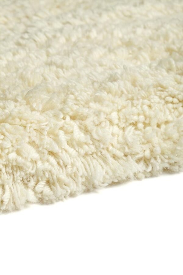 Shaggy - Shetland-02